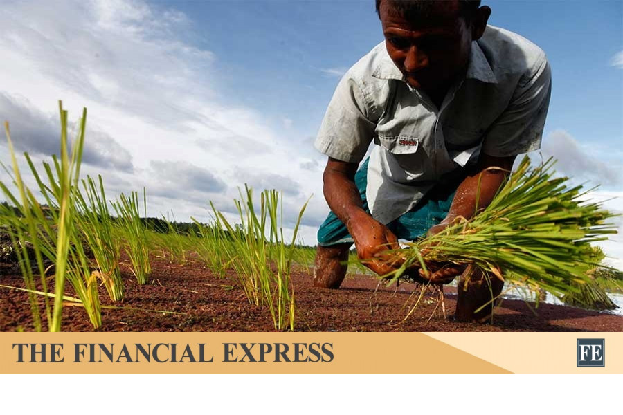 thefinancialexpress.com.bd