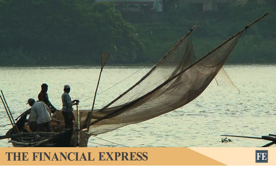 Experts concerned over depletion of marine fisheries stocks