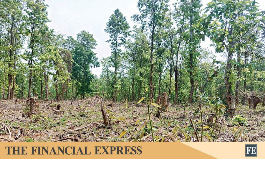 thefinancialexpress.com.bd