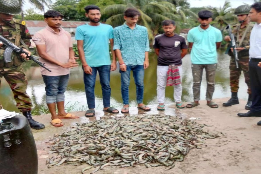 ফাইল ছবি।