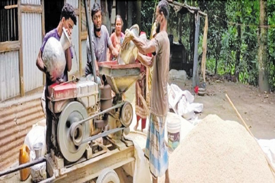 A view of paddy being ground into rice by a mobile paddy grinding machine at a home yard in Matlab Uttar Upazila in Chandpur- FE Photo