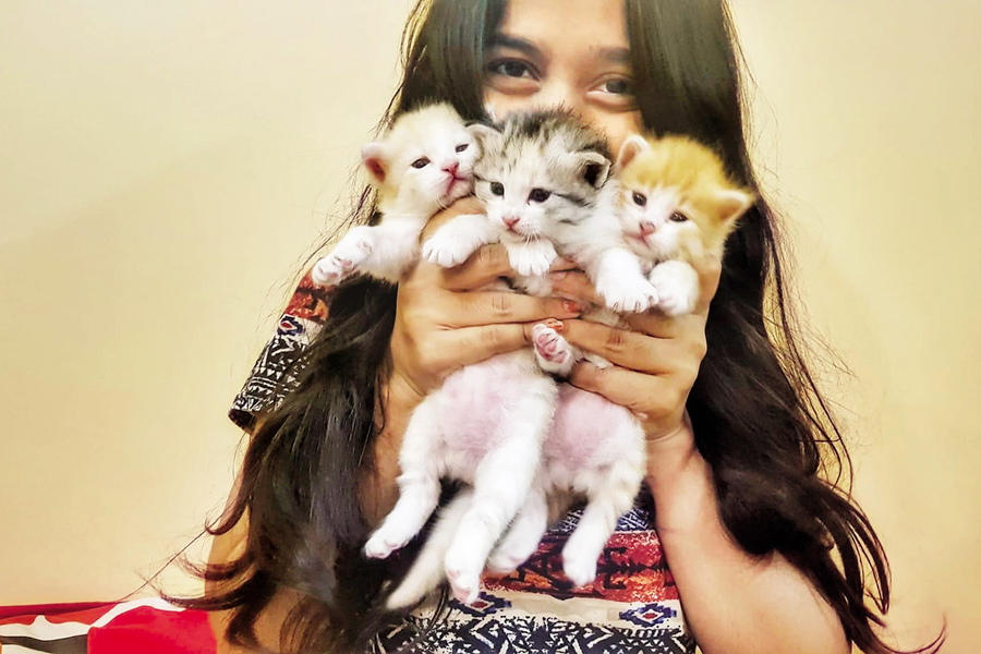 A cat lover from Dhaka with her 3 pets Holly, Lily and Bob