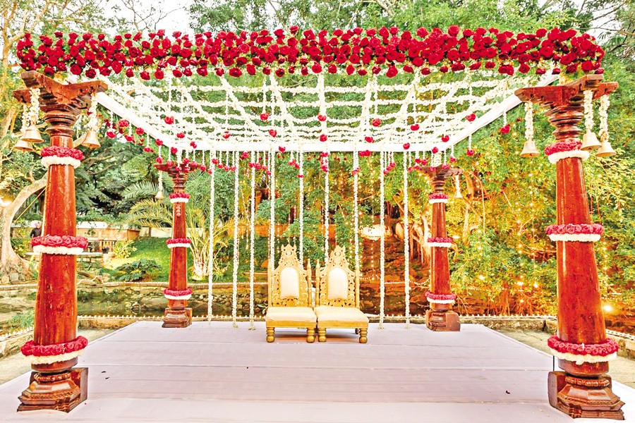 Representational image of Green Wedding