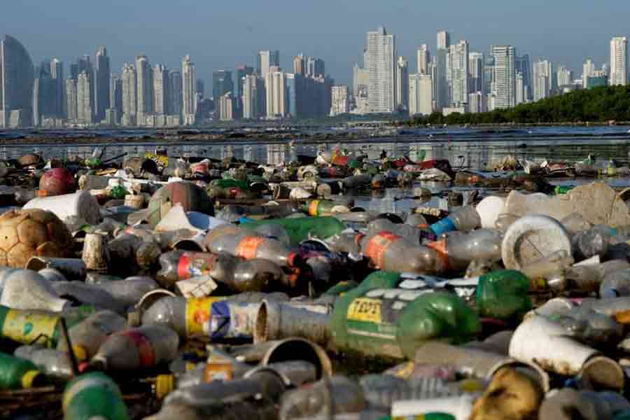 Plastic polluting a mangrove area lies in Panama Bay, Panama City, Panama Dec 6, 2024.