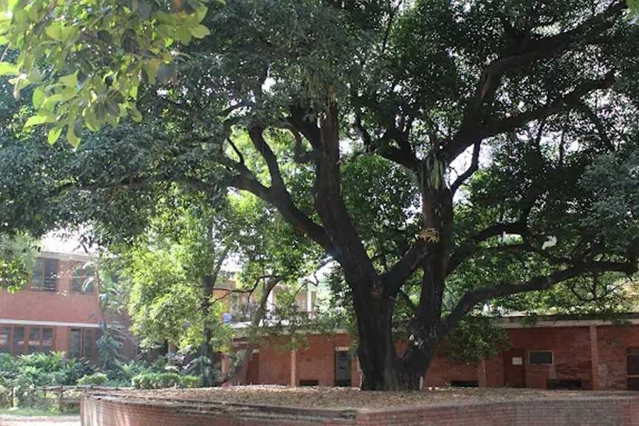 DU Fine Arts dean says ‘Sarat Utsob’ was postponed, not cancelled