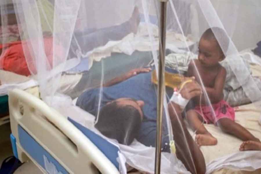 4 dengue deaths, 1,143 hospital admissions recorded in 24 hours