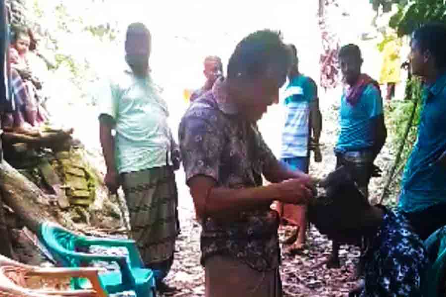 UP member publicly shaves five youths’ heads at Patuakhali village arbitration
