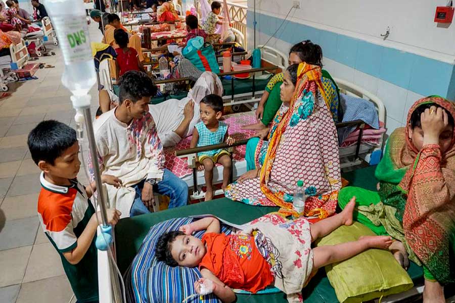 Dengue: 5 deaths, 1,147 hospital admissions reported in 24 hours