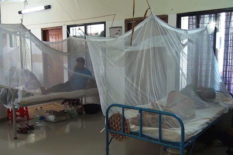 Dengue: 10 deaths reported in 24 hours