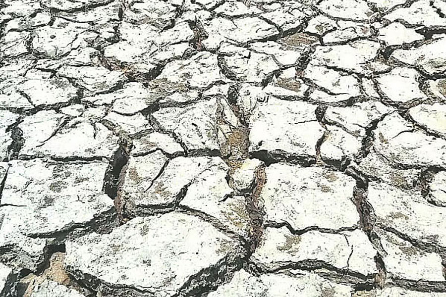 Cracks appear in field due to scarcity of water and scorching heat in the northern districts —Photo: Collected