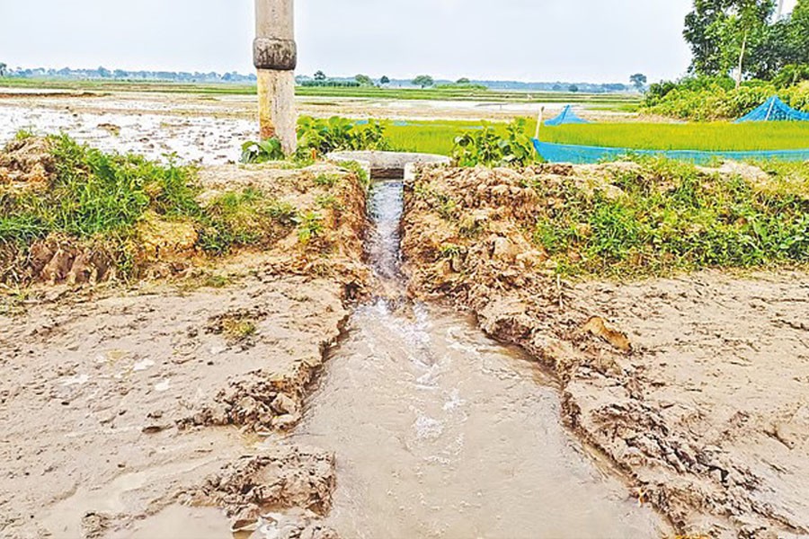 The photo shows a crop field being irrigated by using BMDA's tubewell in Godagari upazila of Rajshahi district- FE Photo