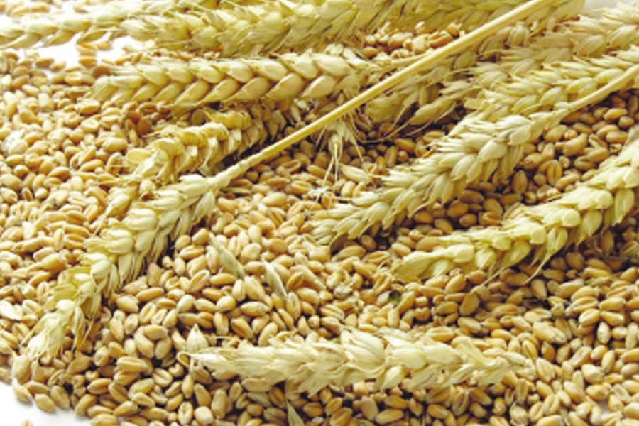 3rd US wheat shipment reaches Mongla