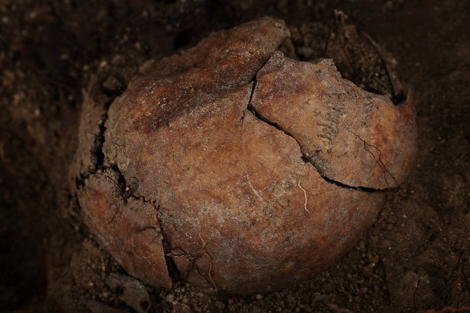The skull of one of the two victims who were shot in 1936 by the forces of Spanish dictator Francisco Franco during the exhumation of a mass grave by members of the Association for the Recovery of Historical Memory (ARMH) near Vegas de Matute, Spain, November 13, 2025.
