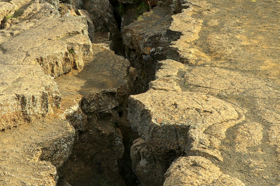 প্রতীকী ছবি