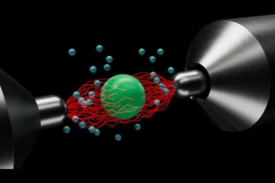 Photo: King's College London