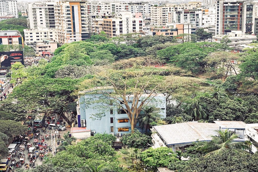 The relentless vertical expansion of Dhaka city. — Photo by Md Imran