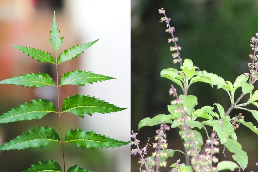 প্রতীকী ছবি