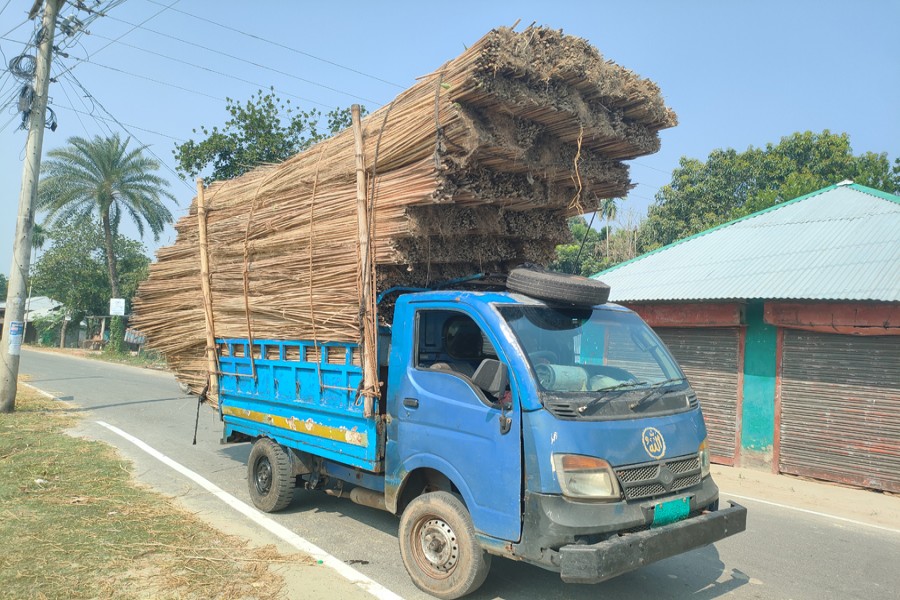 Photo shows a truck loaded with jute sticks at Shibgati in Gopalganj's Kashiani upazila - FE Photo