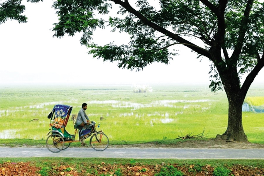 A rural village in Bangladeh