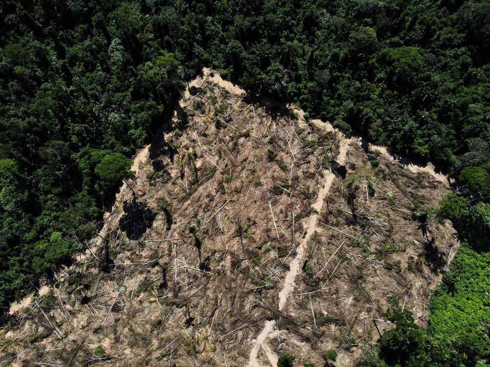 A view of a deforested area in the middle of the Amazon forest, near the BR-230 highway, known as Transamazonica, in the municipality of Uruara, Para, Brazil, July 14, 2021. REUTERS/Bruno Kelly/File Photo
