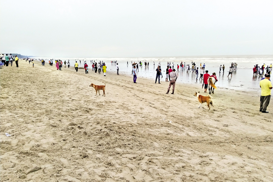Although it is a peak tourist season, footfall of tourists in the beach town of Cox's Bazar has not increased as expected due to political unrest. The photo shows thin presence of tourists on the sea beach.