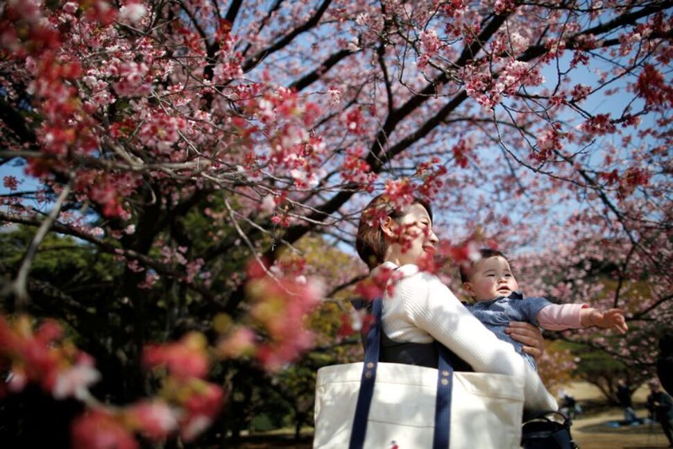 A seven-month-old baby and her mother look at early flowering Kanzakura cherry blossoms in full bloom at the Shinjuku Gyoen National Garden in Tokyo, Japan March 14, 2018. REUTERS/Issei Kato