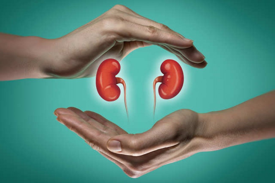 38 million people suffering from kidney disease in Bangladesh The