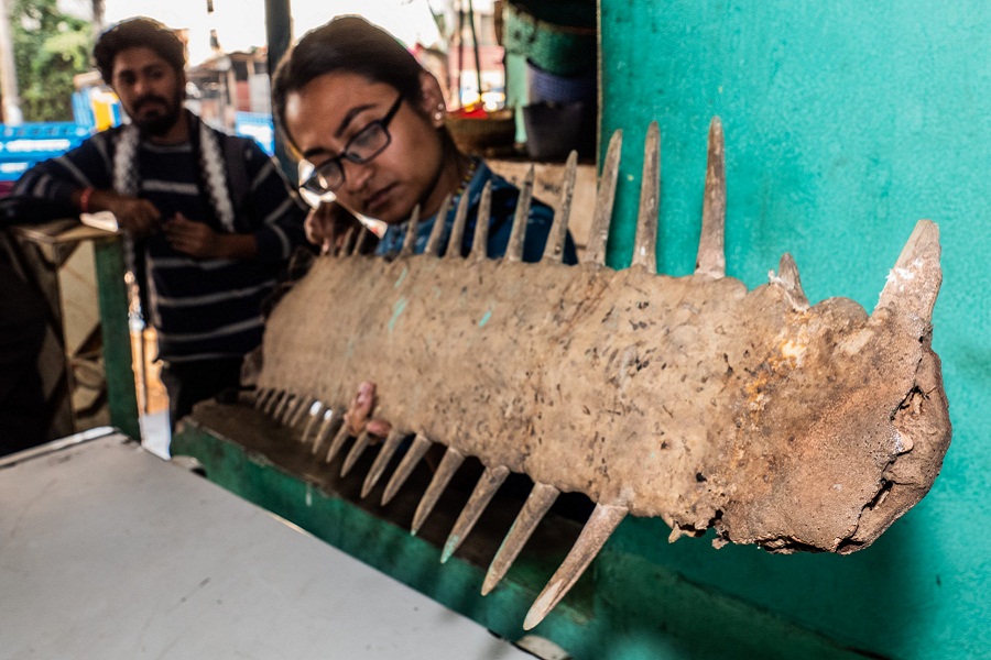 Alifa Binte Haque offer hope for saving marine life