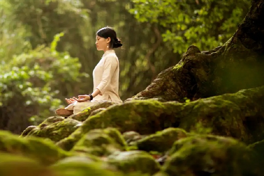 Forest bathing is simply connecting yourself with nature