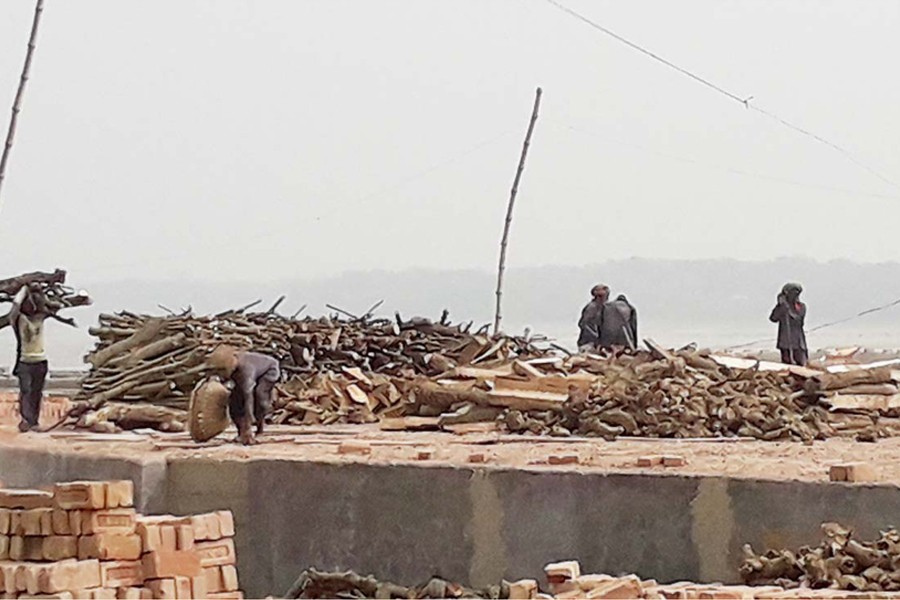 Hazardous for public health and ecology, firewood being used in an illegal brick kiln at a village of Magura district — FE Photo
