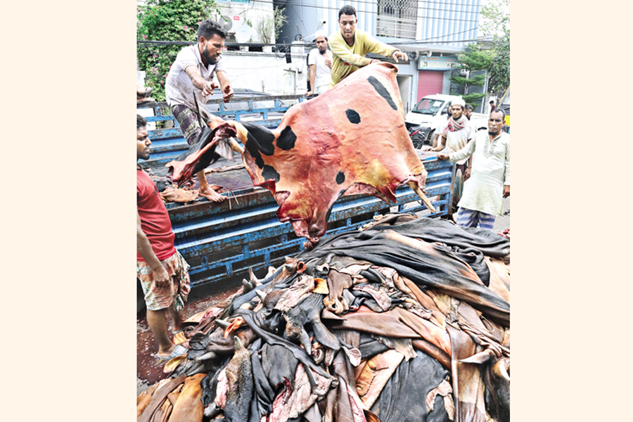 Traders collecting rawhides of sacrificial animals from old Dhaka's Lalbagh area on the day of Eid-ul-Azha on Monday— FE photo