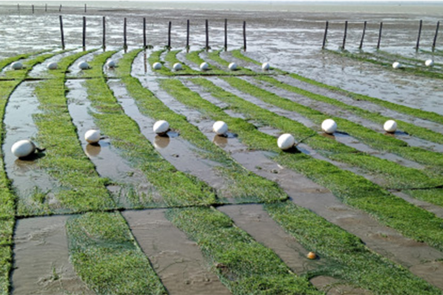 Representational image