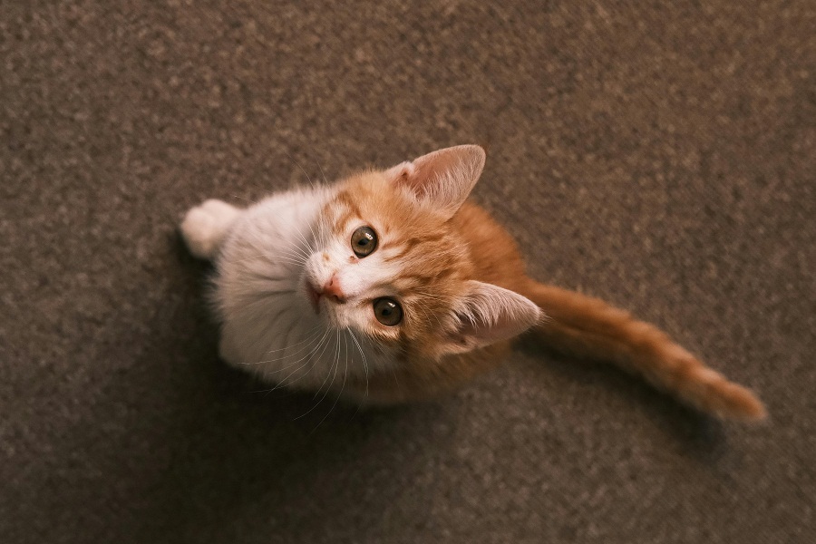 Representational image