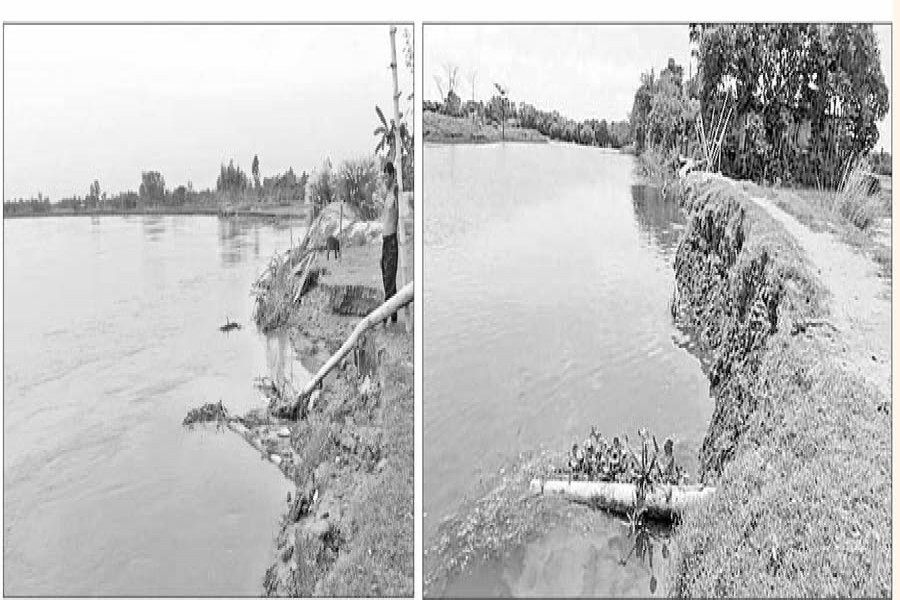 Aresident of village Shankardaho at Gangachara upazila in Rangpur seen with a melancholic look as his banana orchard is on the verge of disappearance due to erosion by the Teesta River (left) and severe erosion in Shantiganj upazila of Sunamganj causing sufferings for villagers