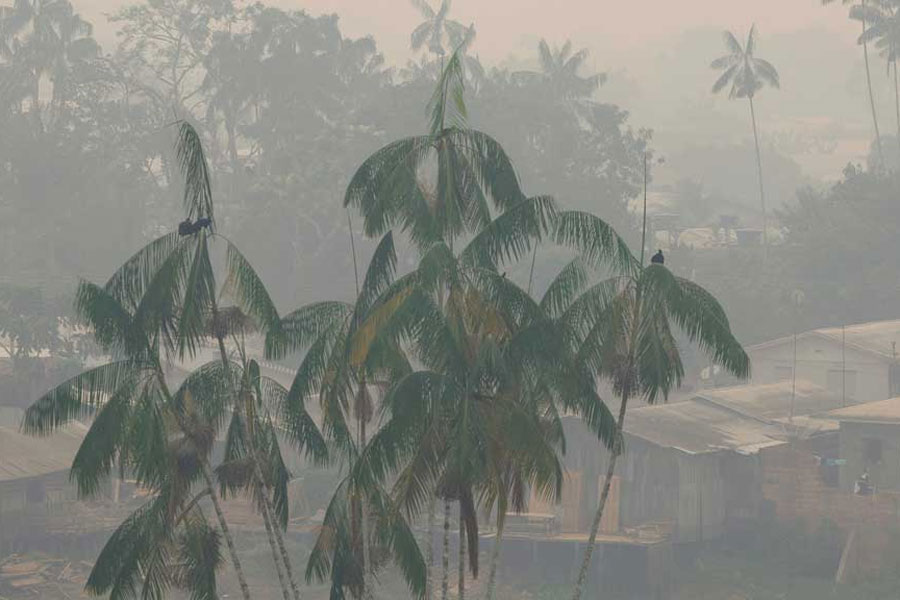 A view shows smoke from a forest fire in the Amazon, in Labrea, Amazonas state, Brazil, September 5, 2024.