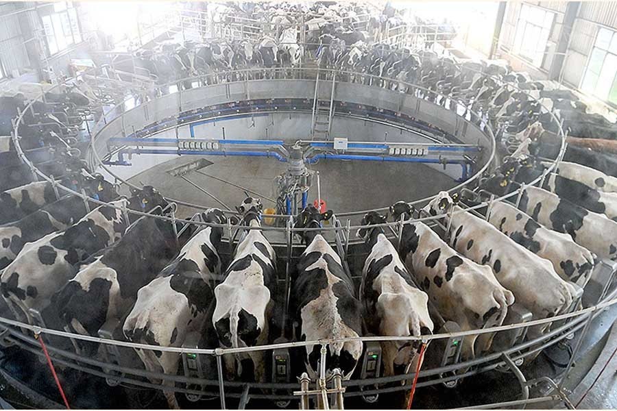 Photo for representational purpose