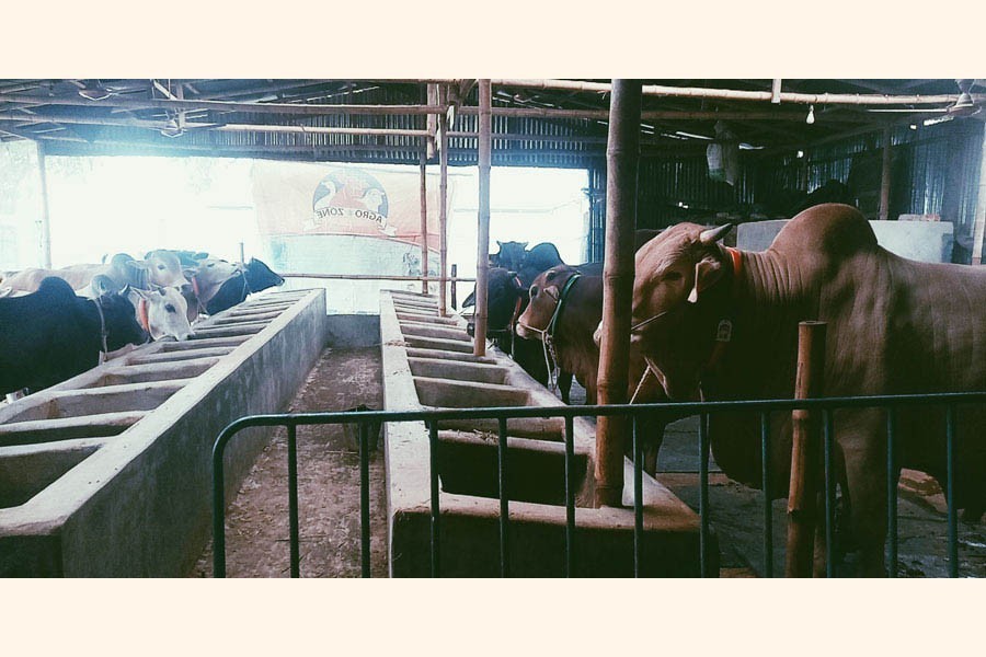 Photo for representational purpose