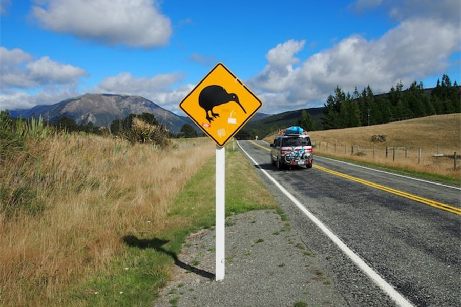 Holidaymakers drive past a road sign at St Arnaud on the South Island on March 27, 2016 — Reuters/Files