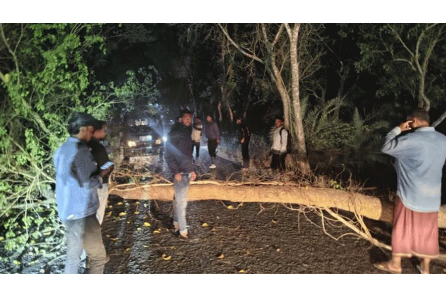 Bandits robbed a bus and a microbus by felling trees on the road in Naogaon on 22 February 2025 —Photo UNB