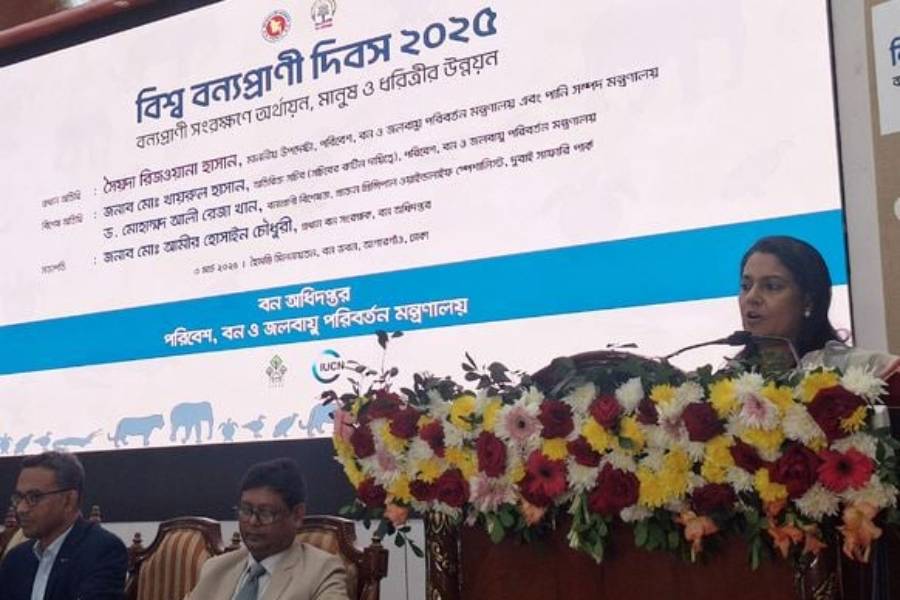 Marking World Wildlife Day 2025, Adviser Syeda Rizwana Hasan spoke as the chief guest at a discussion held at the Forest Department headquarters in Agargaon
