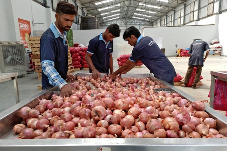 Workers of a retail chain sort onions at Manchar village in Pune, India on November 11, 2019 — Reuters/File