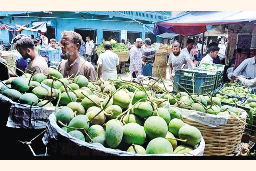 Traders busy selling mangoes at Sultanpur Barabazar in Satkhira distrct, lone mango market of the region