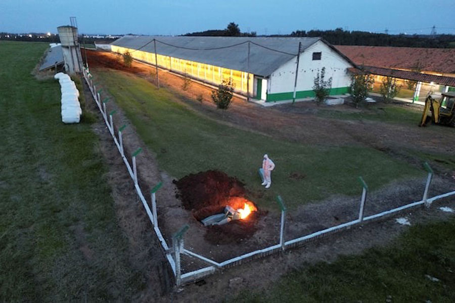 A person wearing a hazmat suit stands next to burning egg cartons and other items in a hole in the ground at a poultry farm after Brazil confirmed its first outbreak of bird flu on Friday, triggering protocols for a country-wide trade ban from top buyer China and state-wide restrictions for other major consumers, in Montenegro, Brazil May 16, 2025.