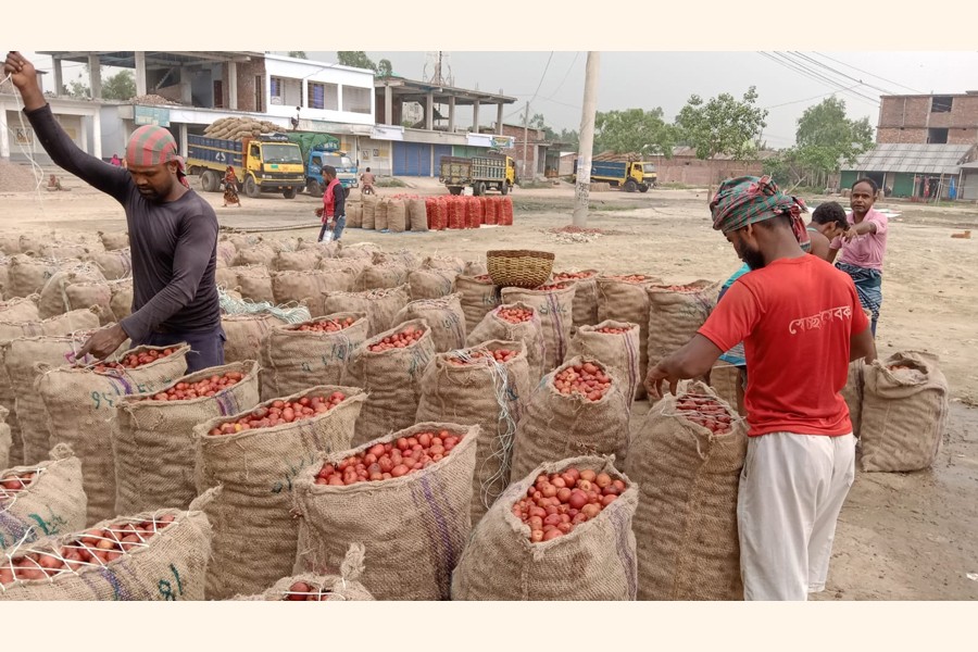 Traders busy sorting out potatoes at Mahasthan Haat, the largest wholesale market in the northern district Bogura