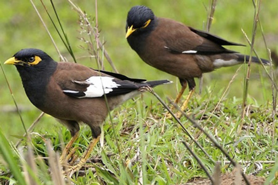 - Picture used for representation.