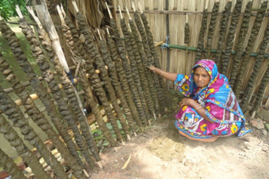 Banu Begum of Nanduali village under Magura Sadar processing cow dung for sale in the market as fuel. The photo was taken on Tuesday. — FE Photo