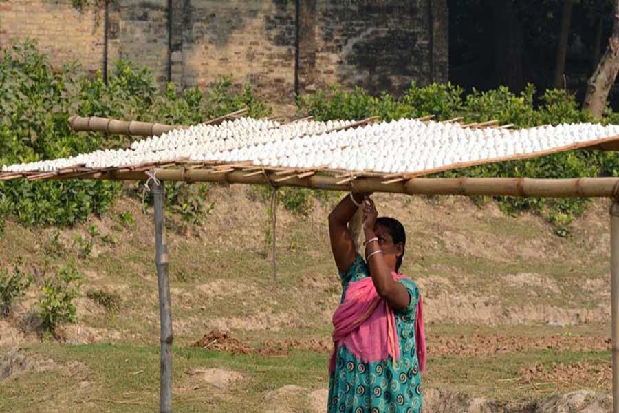 A female artisan dries the home-made Kumrabori in Borai village under Dupchanchia upazila of Bogra district on Tuesday. — FE Photo