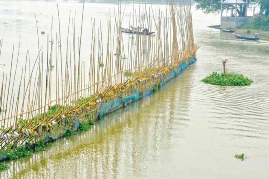 Illegal setting up of nets and bamboo enclosures is disrupting normal breeding of indigenous fish species at different points of Chalan Beel under Pabna district. The photo was taken on Thursday. — FE Photo