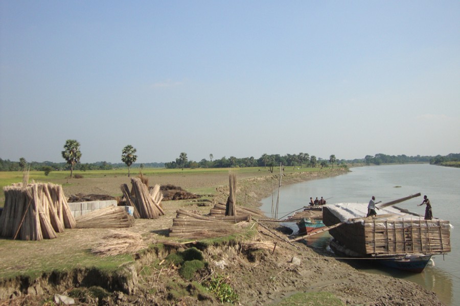 Traders are loading a boat with jute stalks at Jalalabad under Gopalganj Sadar on Wednesday for transportation to different districts across the country. — FE Photo