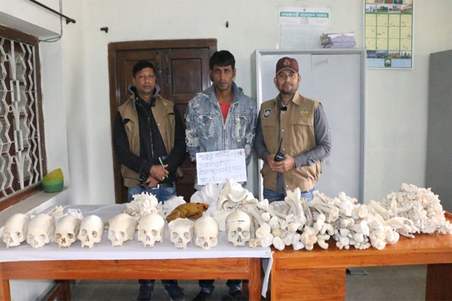 Rajshahi DB police recently arrested one with smuggled human skeletons. — FE Photo